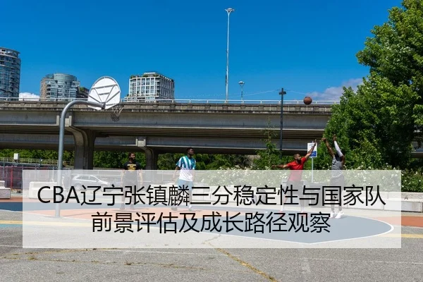 CBA辽宁张镇麟三分稳定性与国家队前景评估及成长路径观察