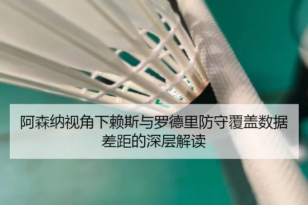 阿森纳视角下赖斯与罗德里防守覆盖数据差距的深层解读